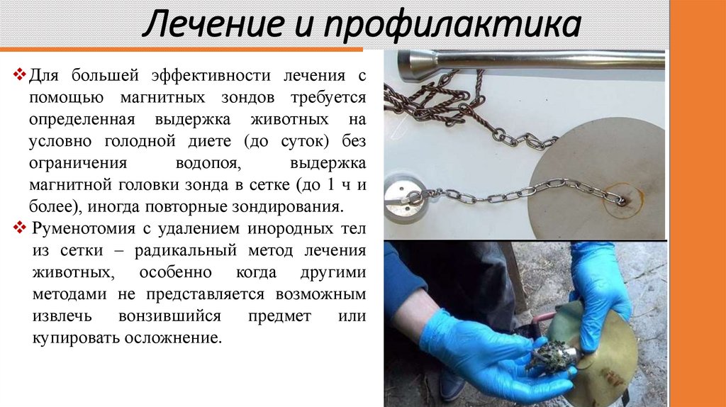 Лечение и профилактика