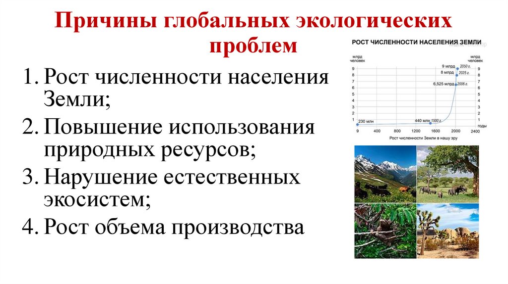 Причины глобальных экологических проблем