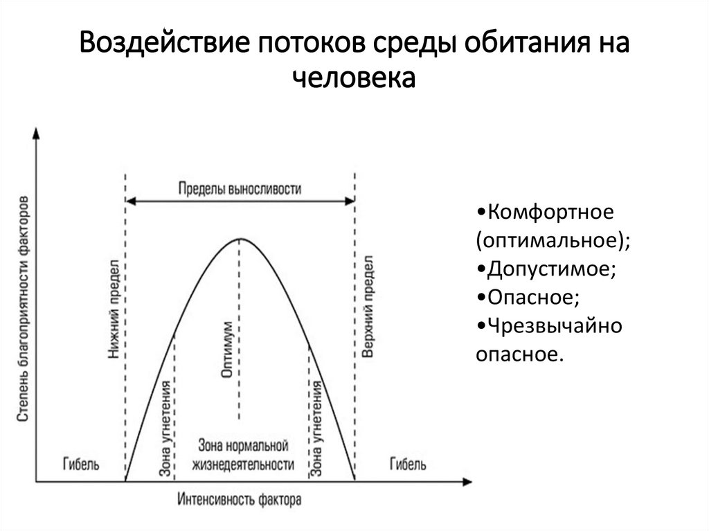 Воздействие потоков среды обитания на человека