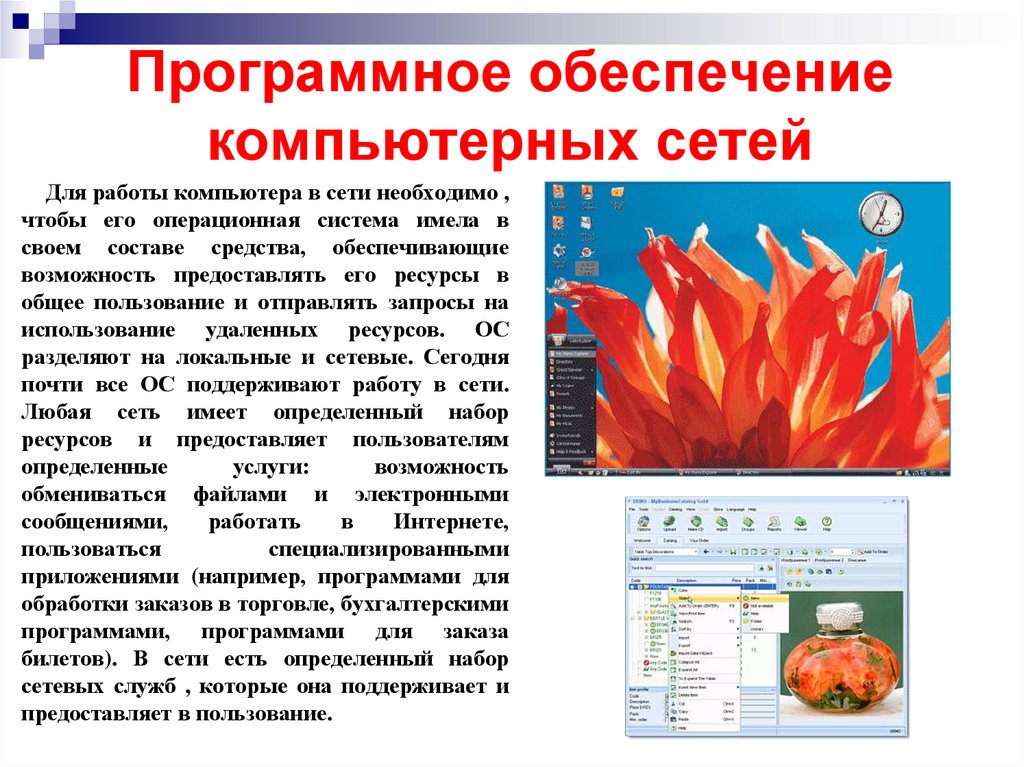 Программное обеспечение компьютерных сетей