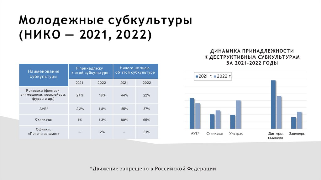 Молодежные субкультуры (НИКО — 2021, 2022)