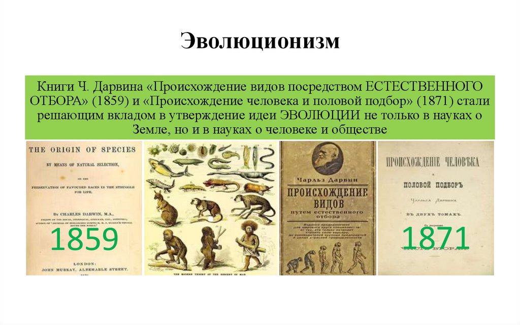 Эволюционизм