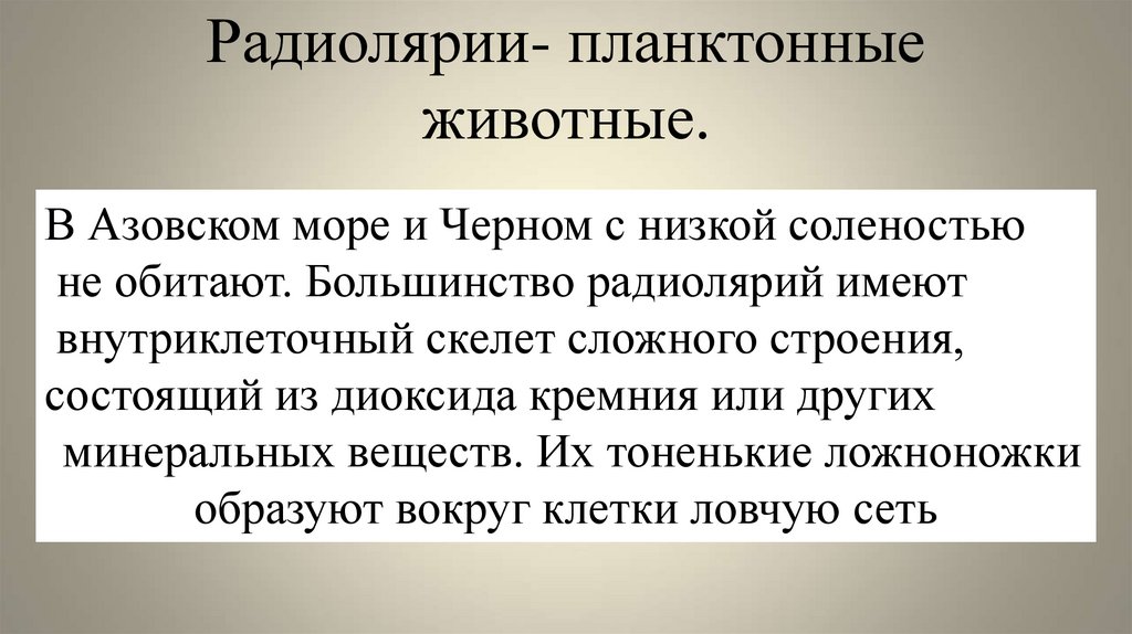 Радиолярии- планктонные животные.
