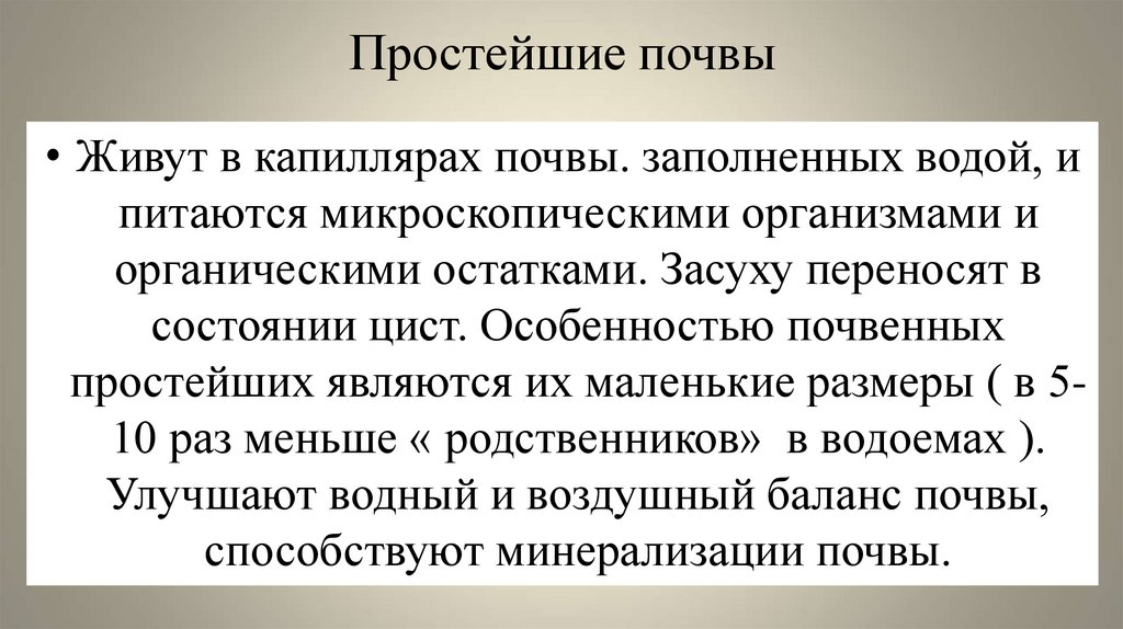 Простейшие почвы