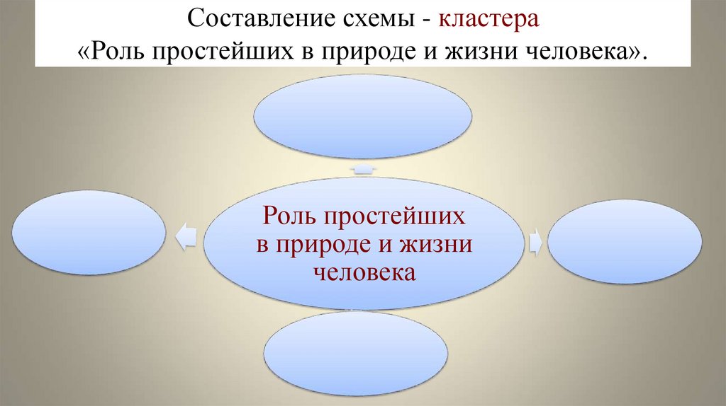 Составление схемы - кластера «Роль простейших в природе и жизни человека».