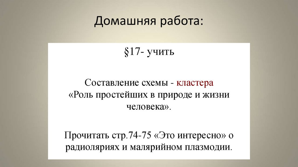 Домашняя работа: