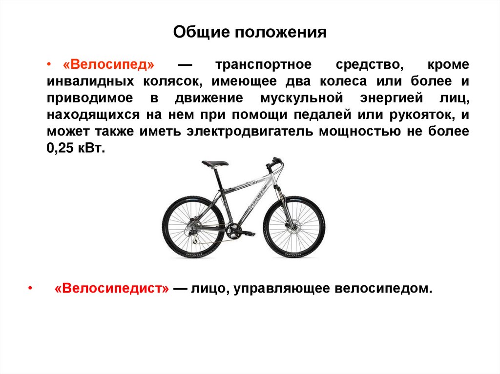 Общие положения