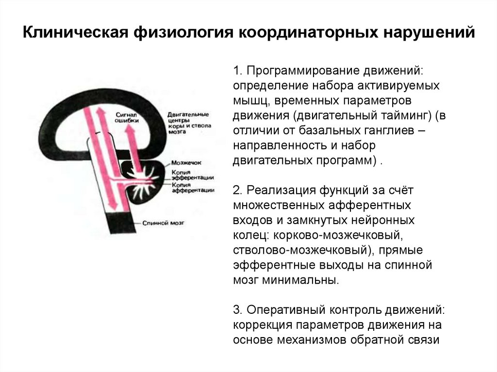 Клиническая физиология координаторных нарушений