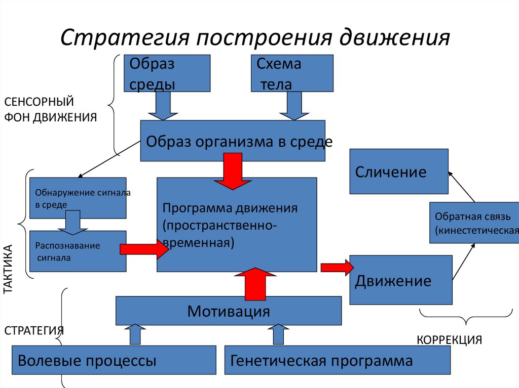 Стратегия построения движения