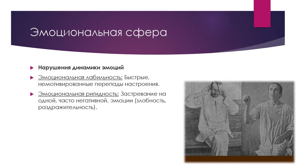 Эмоциональная сфера