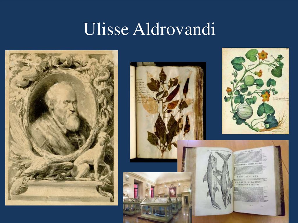 Ulisse Aldrovandi