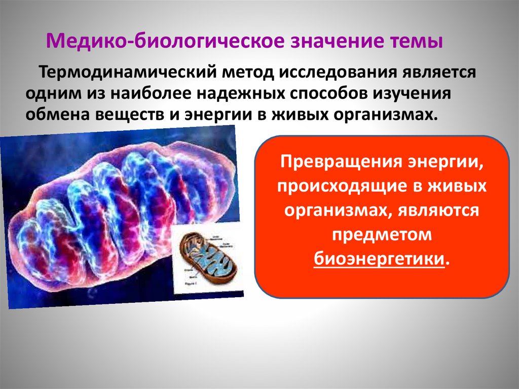 Медико-биологическое значение темы