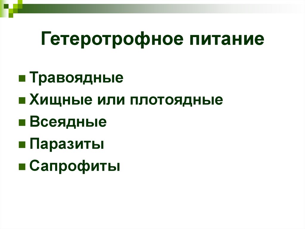 Гетеротрофное питание