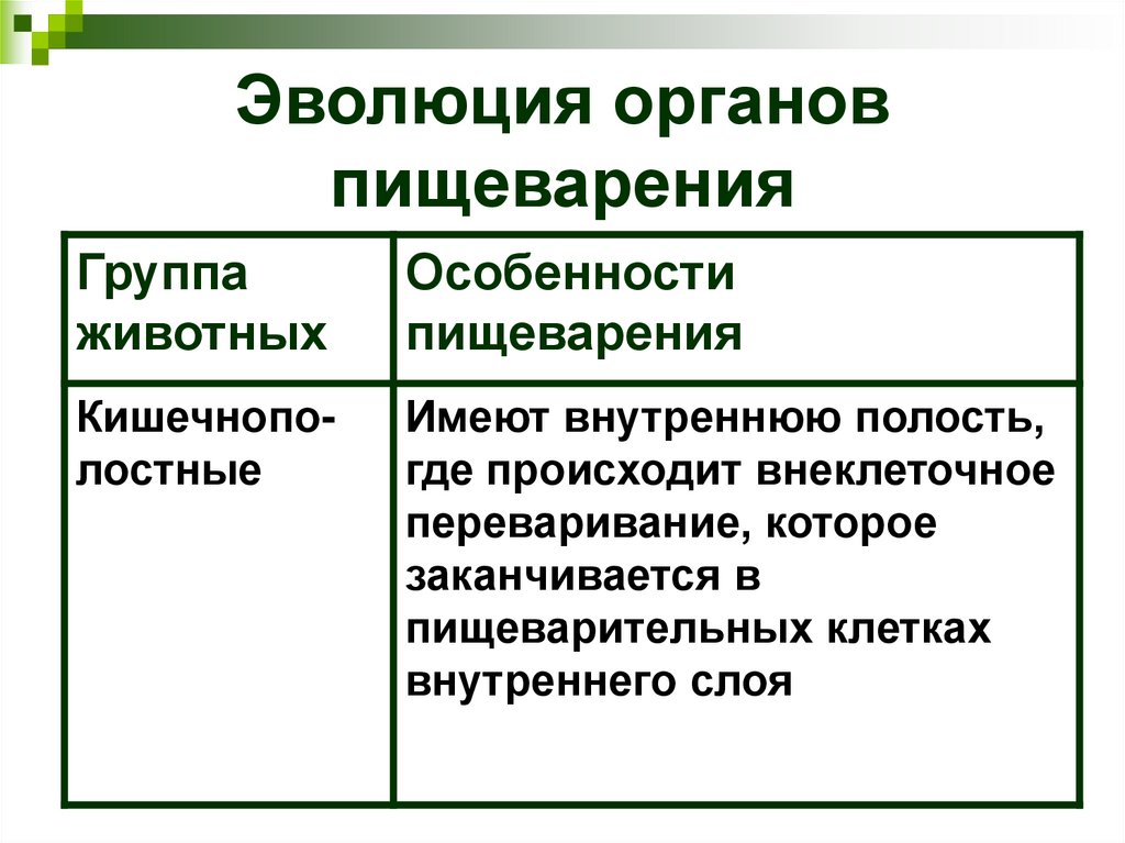 Эволюция органов пищеварения