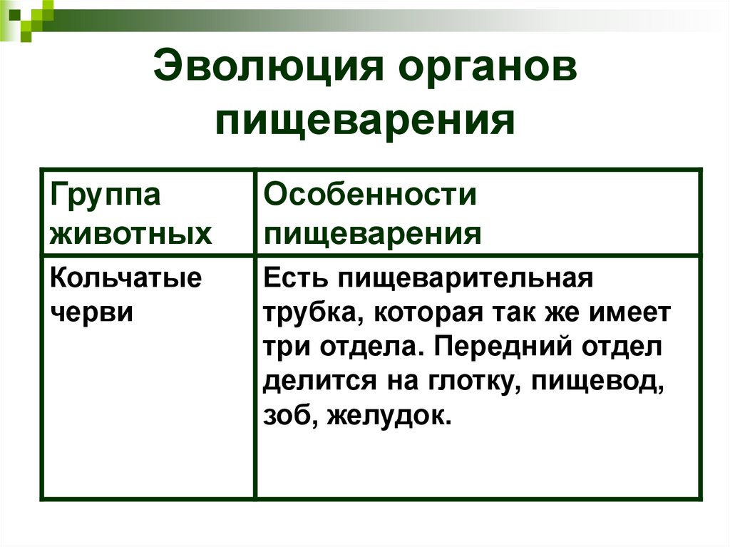 Эволюция органов пищеварения
