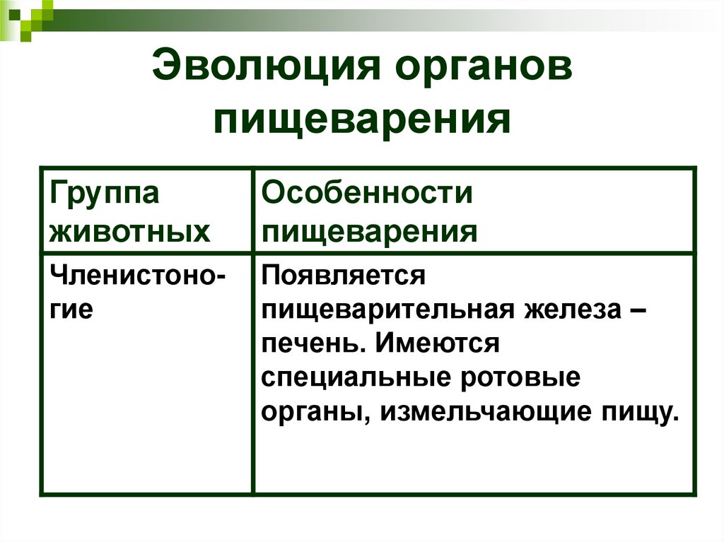 Эволюция органов пищеварения