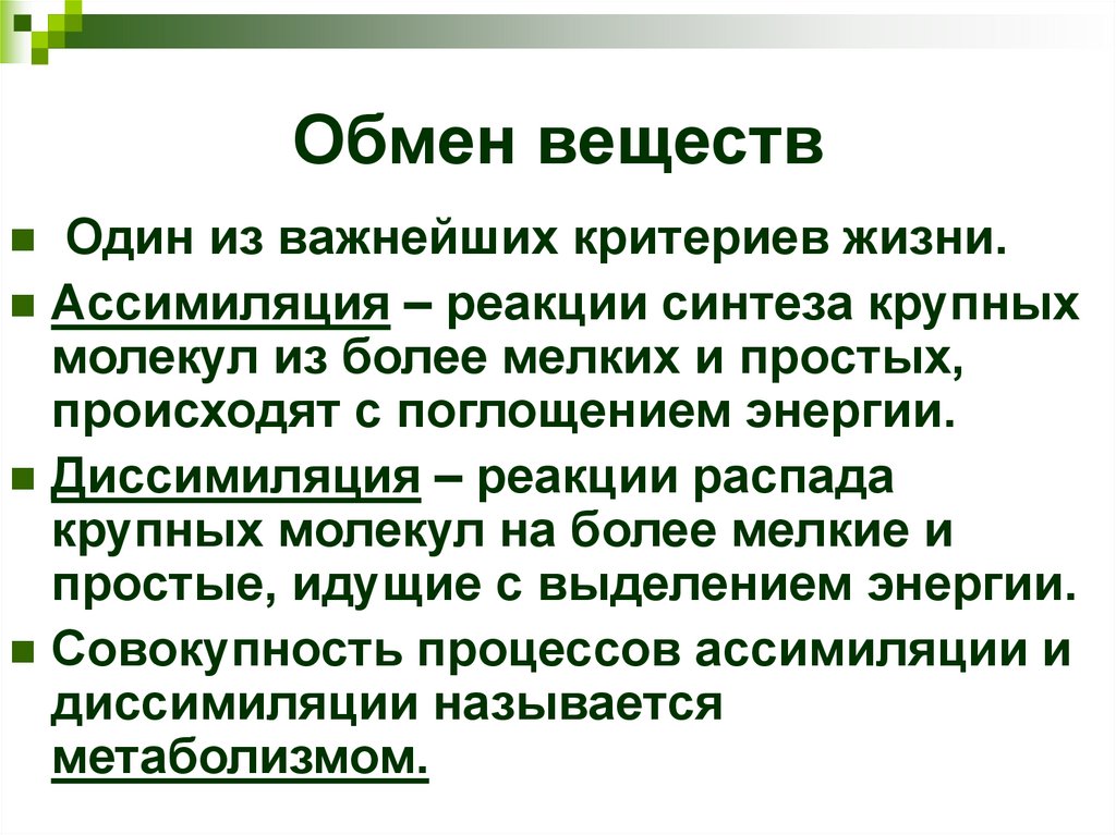 Обмен веществ