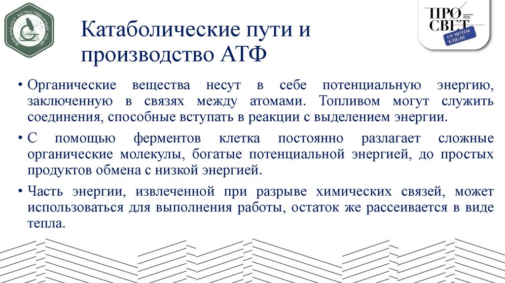 Катаболические пути и производство АТФ