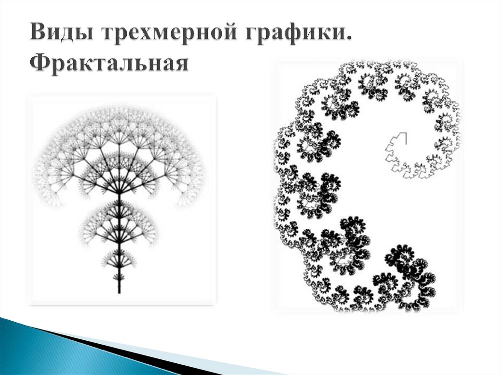 Виды трехмерной графики. Фрактальная