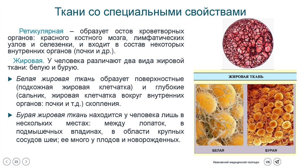 Ткани со специальными свойствами
