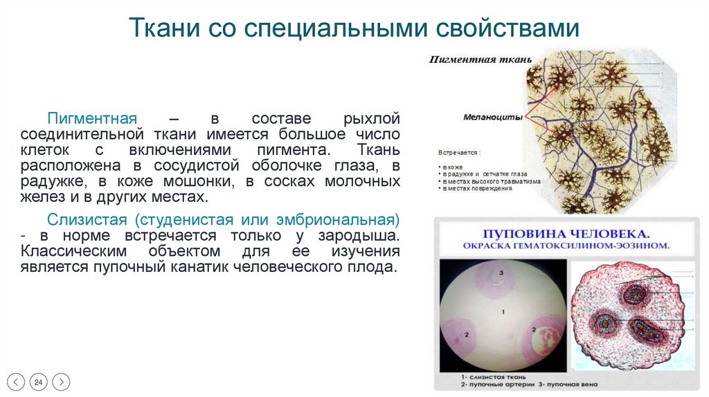Ткани со специальными свойствами