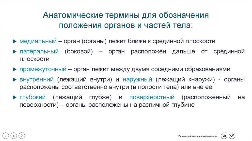 Анатомические термины для обозначения положения органов и частей тела: