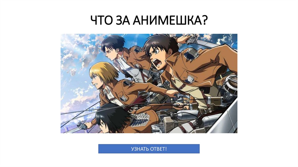 ЧТО ЗА АНИМЕШКА?