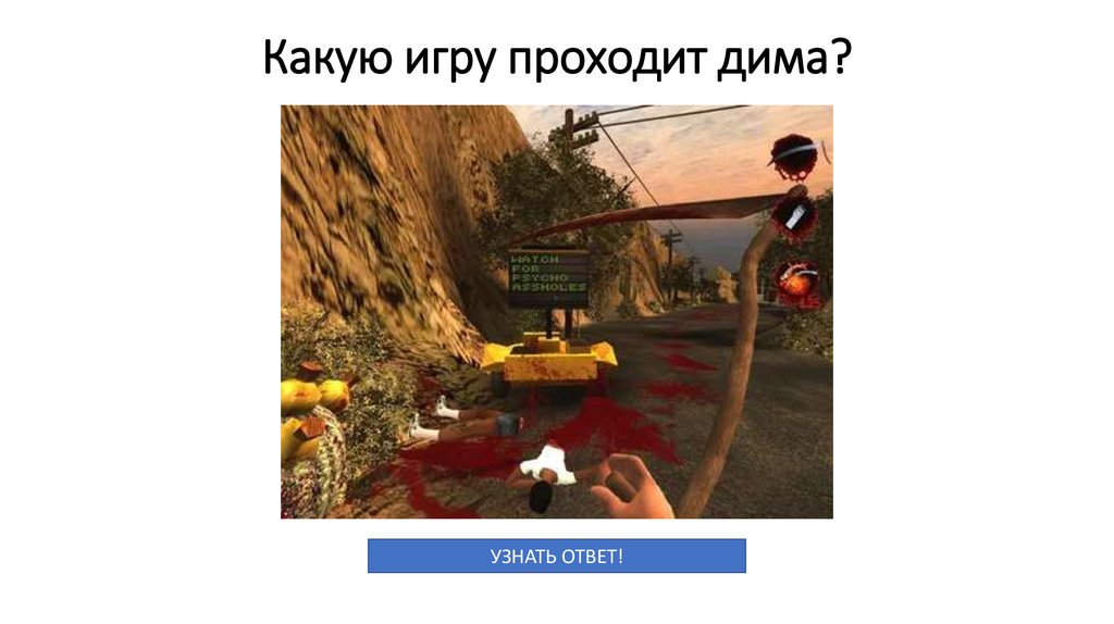 Какую игру проходит дима?