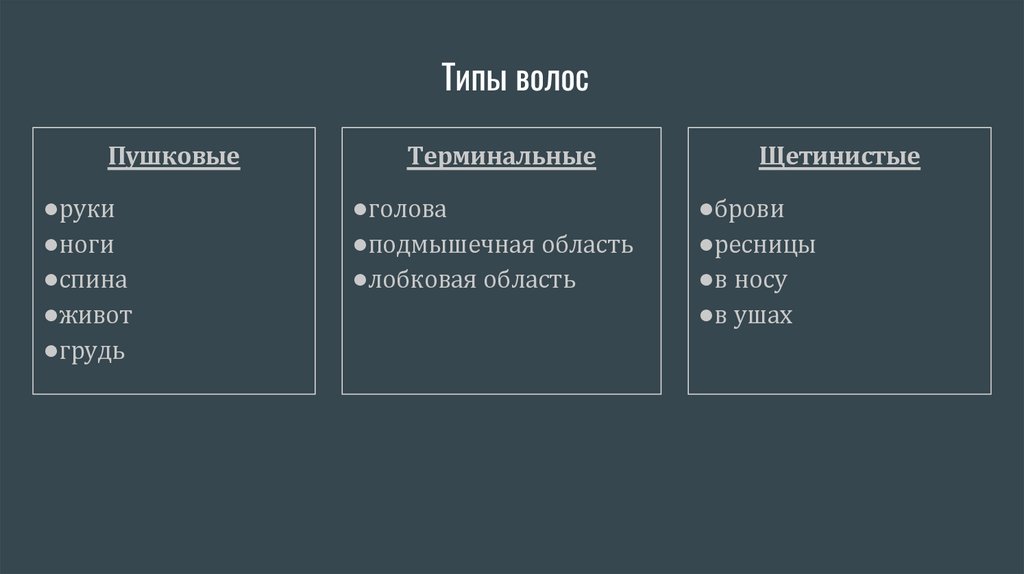 Типы волос