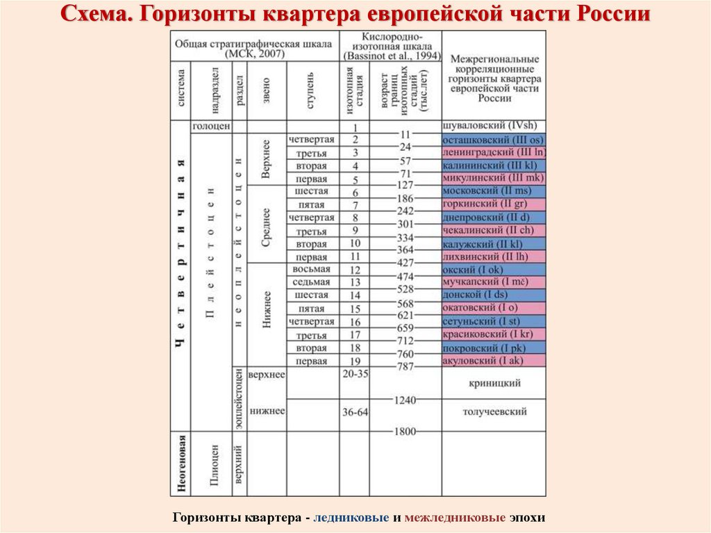 Схема. Горизонты квартера европейской части России