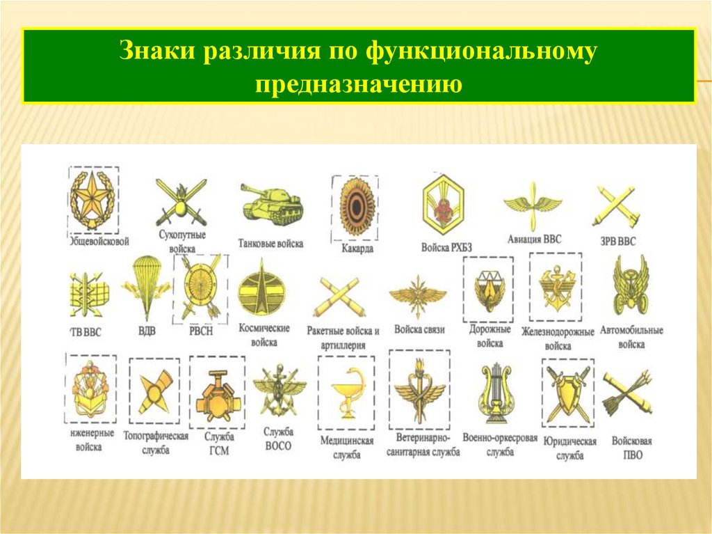 Права и обязанности.