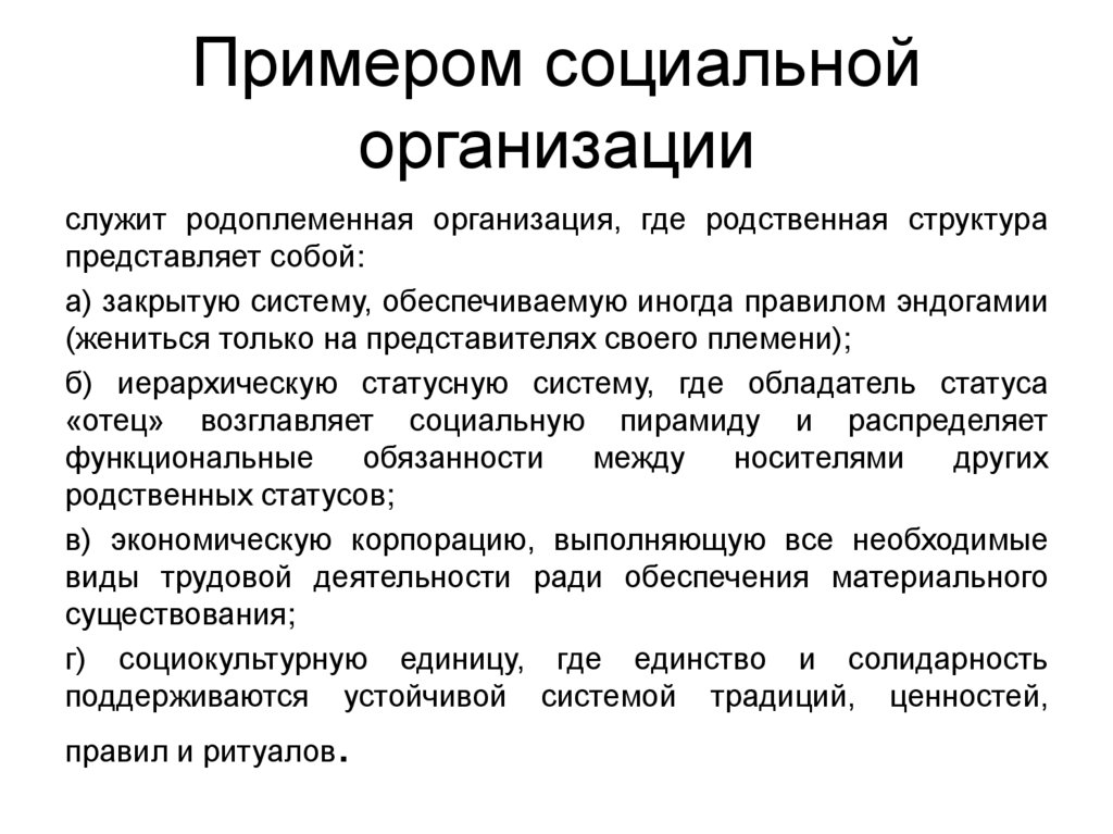 Примером социальной организации