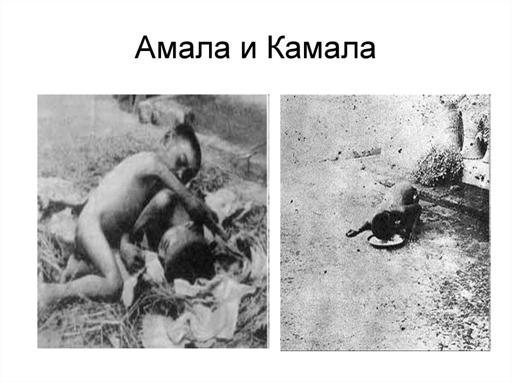 Амала и Камала