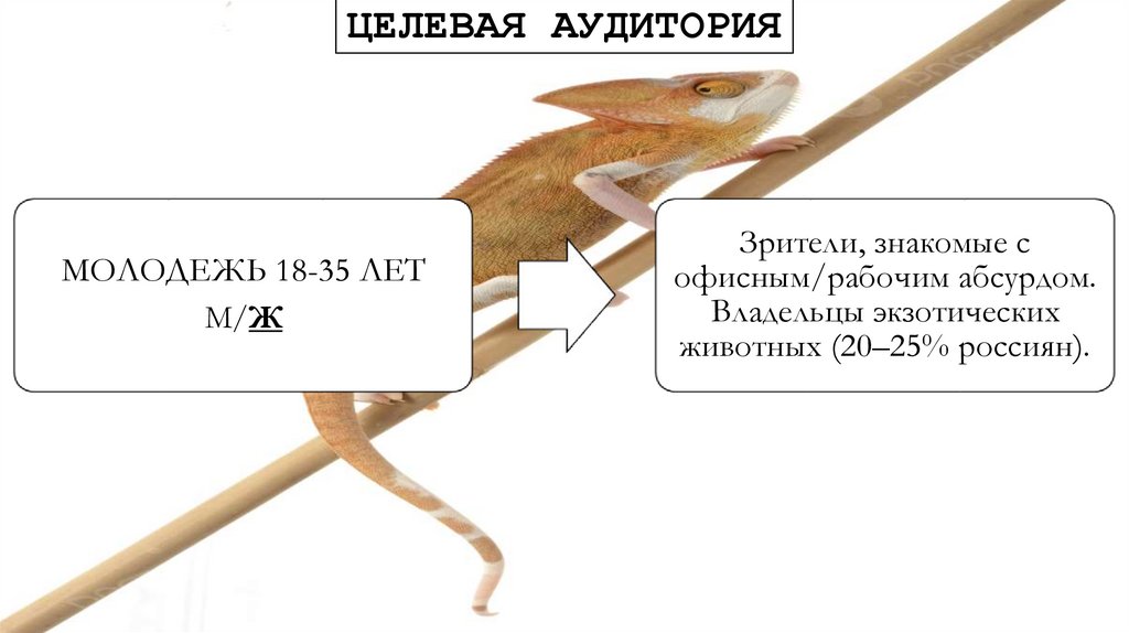 ЦЕЛЕВАЯ АУДИТОРИЯ