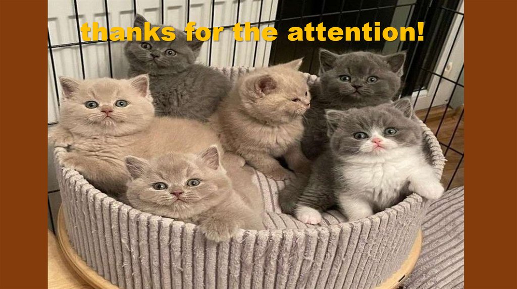 thanks for the attention!