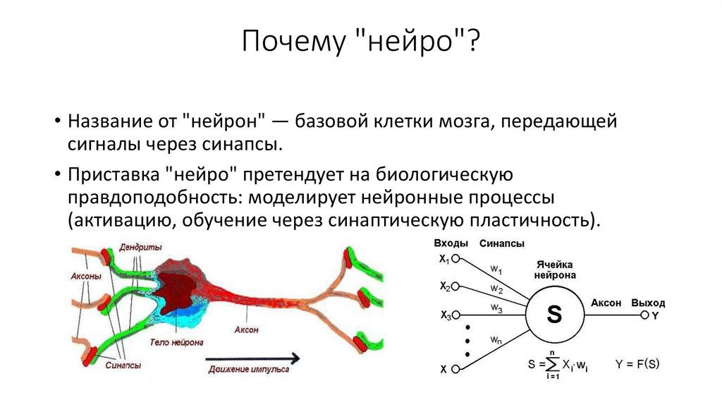 Почему "нейро"?