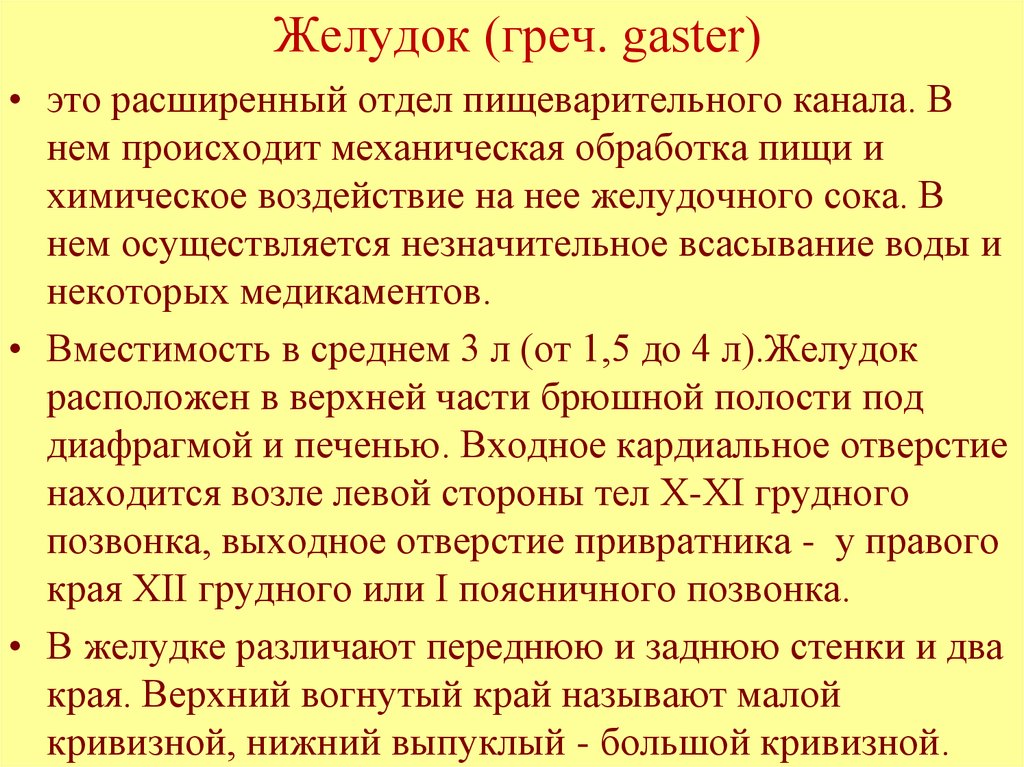 Желудок (греч. gaster)
