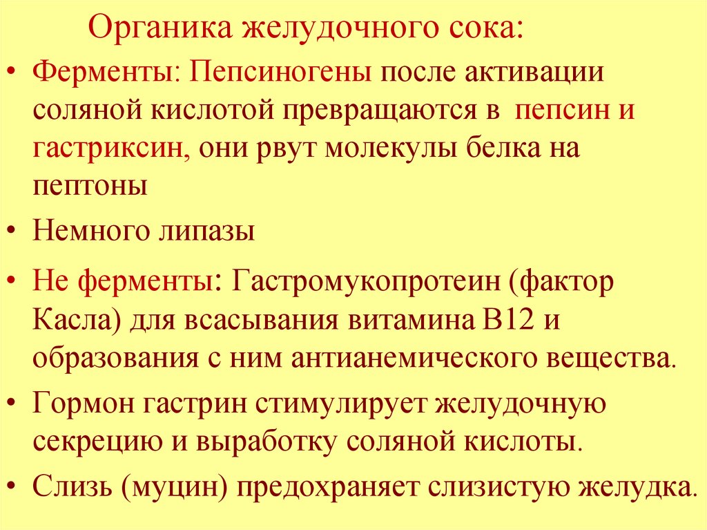 Органика желудочного сока: