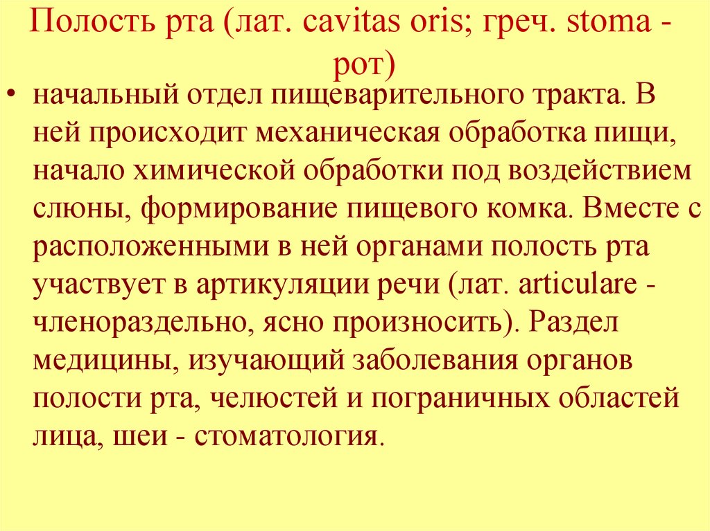 Полость рта (лат. cavitas oris; греч. stoma - рот)