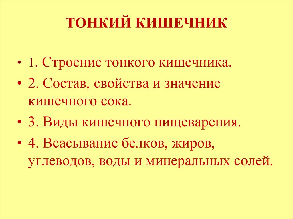 ТОНКИЙ КИШЕЧНИК