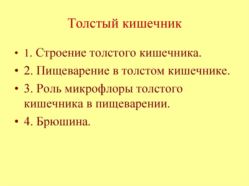 Толстый кишечник
