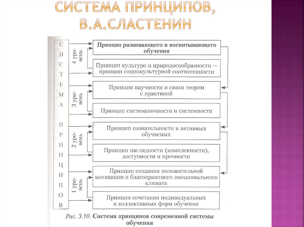 Система принципов, В.А.Сластенин