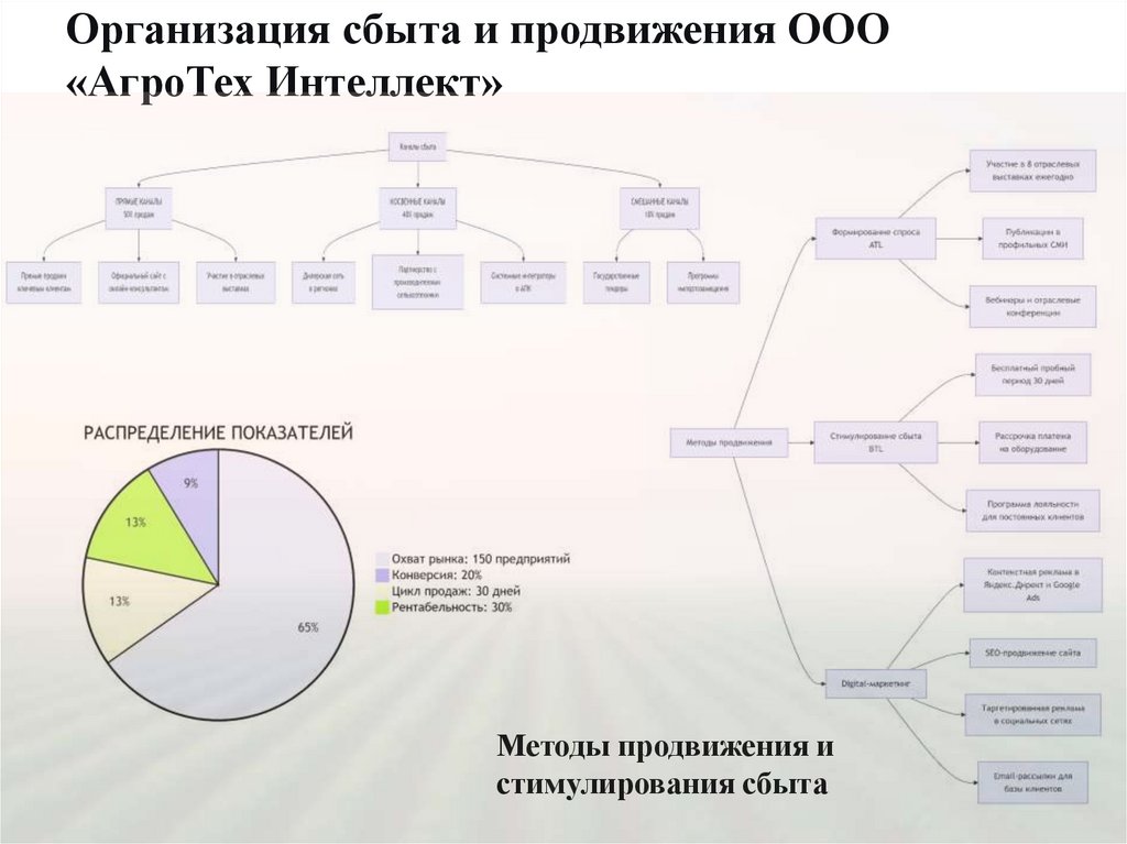 Организация сбыта и продвижения ООО «АгроТех Интеллект»