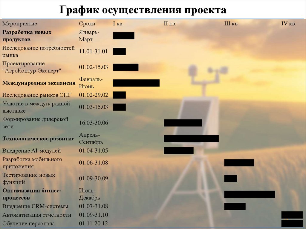 График осуществления проекта