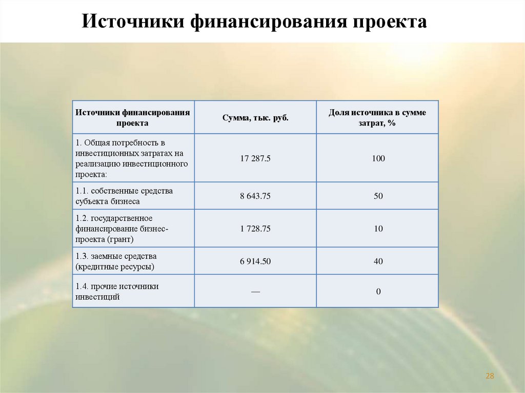 Источники финансирования проекта