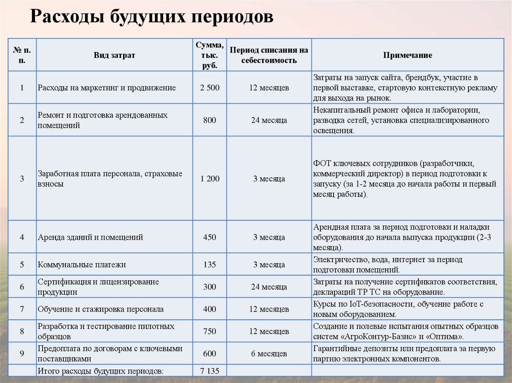 Расходы будущих периодов