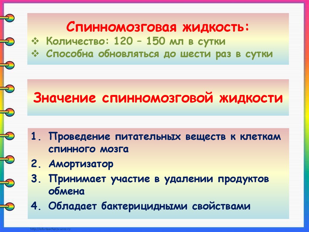 Значение спинномозговой жидкости