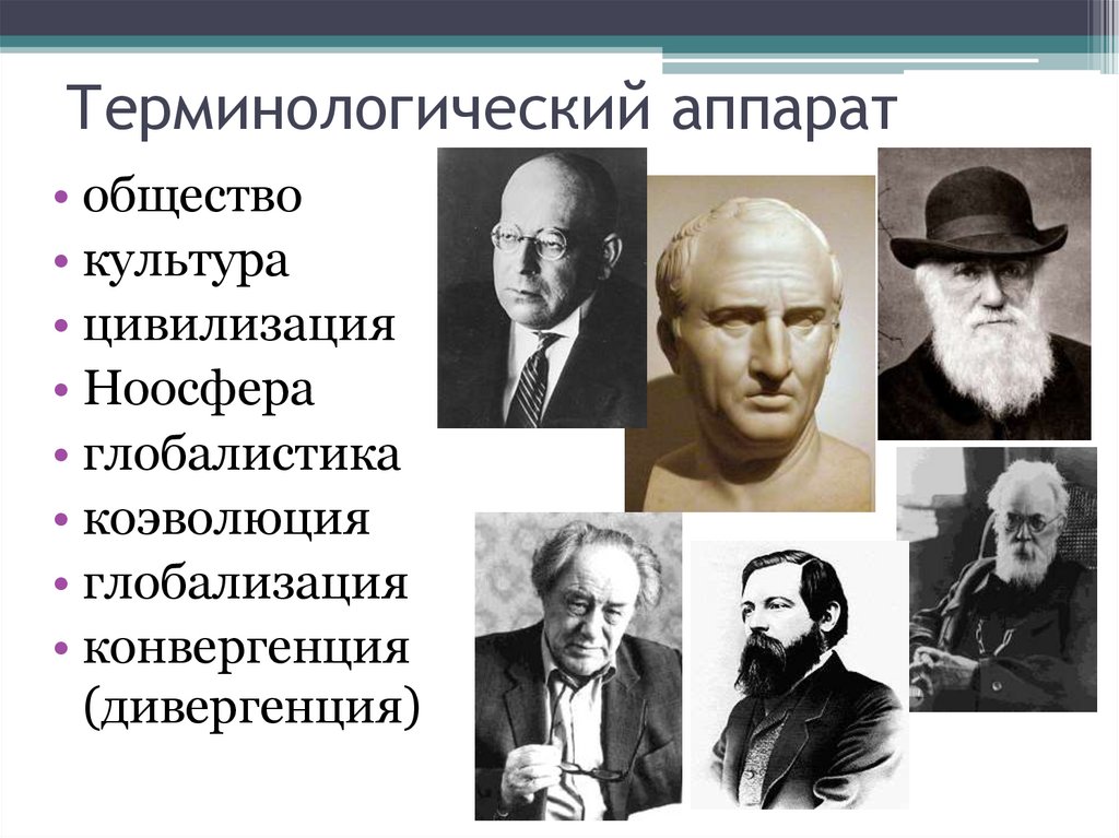 Терминологический аппарат