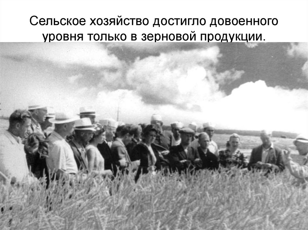Сельское хозяйство достигло довоенного уровня только в зерновой продукции.