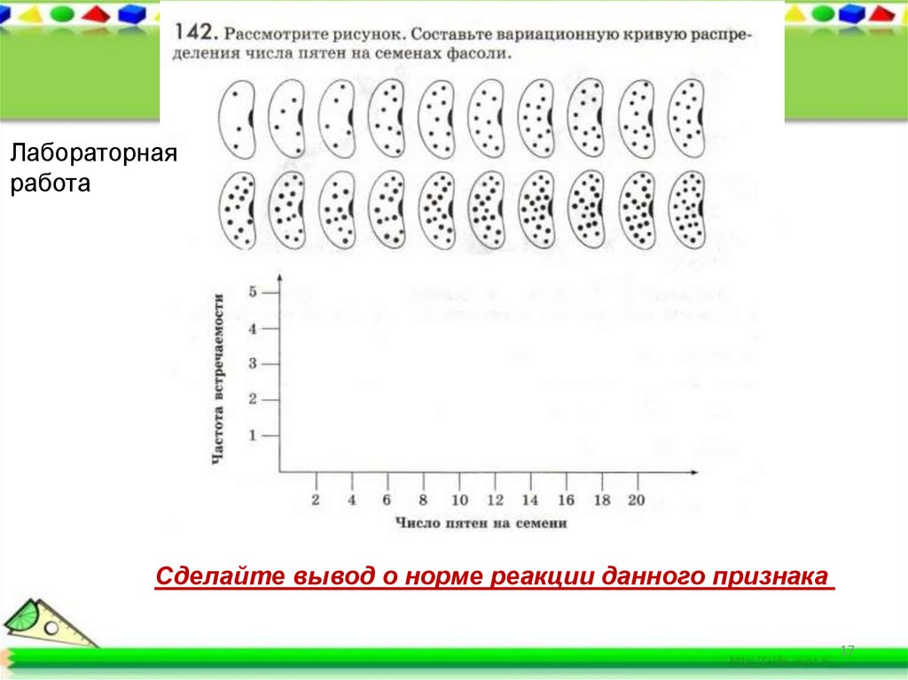 Вариационный ряд